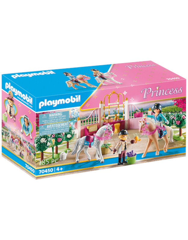 70450 Riding Lessons