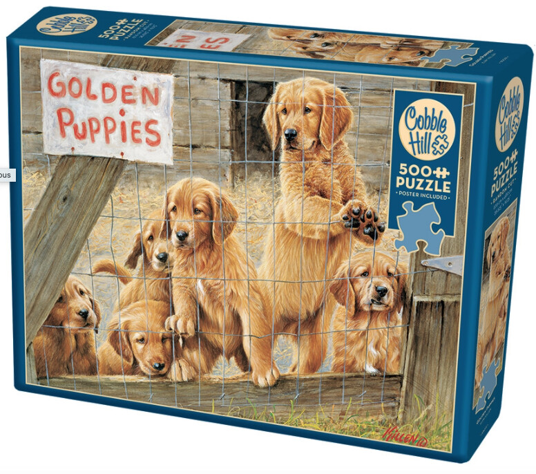 85019 Golden Puppies