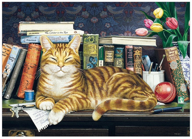 58892 Well Read Ginger (tray)