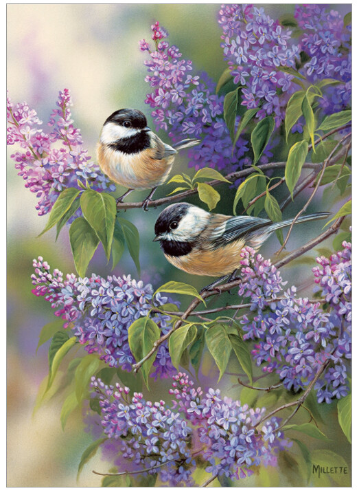 58877 Chickadee Duo (tray)