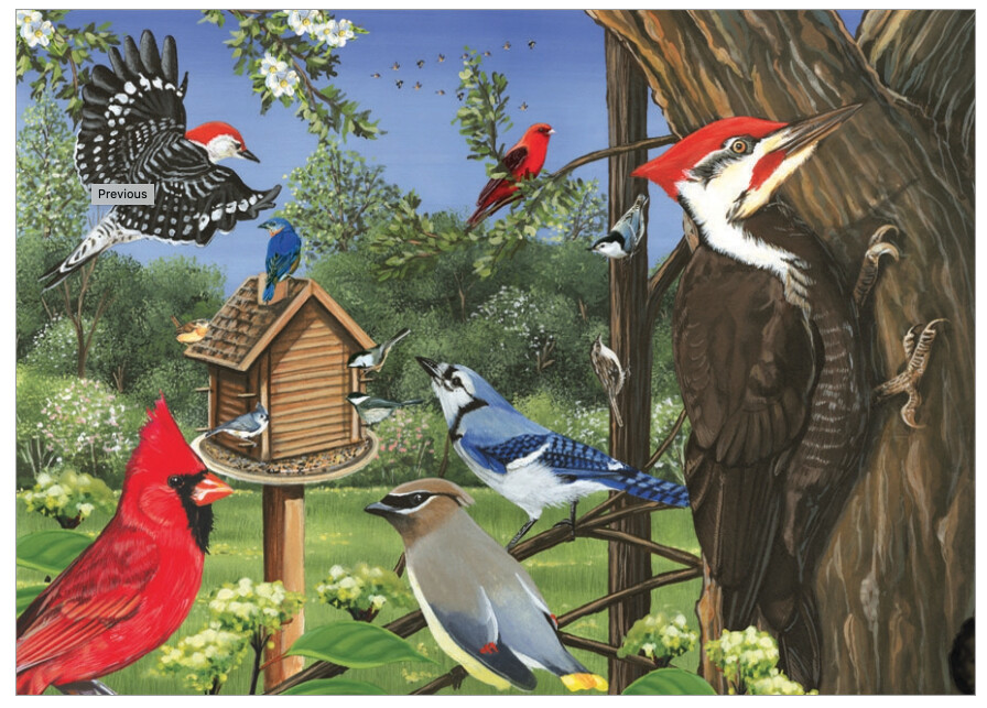 58848 Around the Birdfeeder (tray)