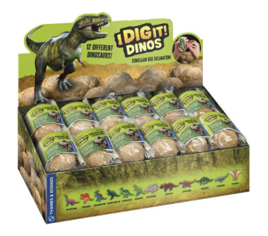 TK601509 I Dig it Dinos! - Dino Egg (24 unit display)