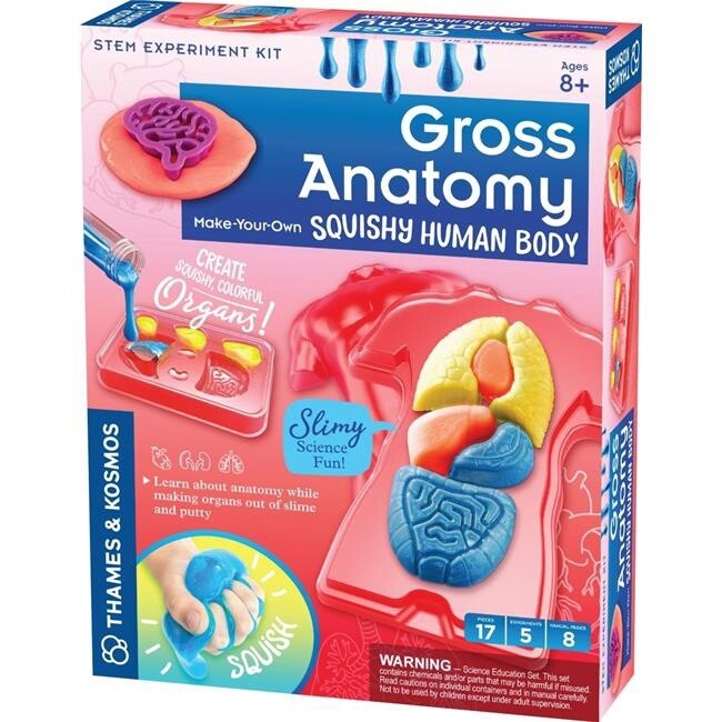 550032 GROSS ANATOMY: MAKE-YOUR-OWN SQUISHY HUMAN BODY