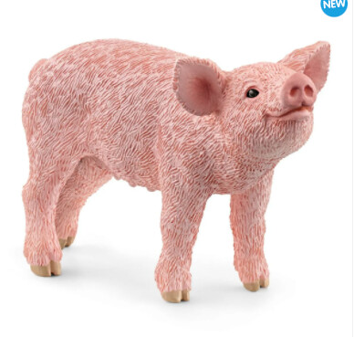 13934 Piglet