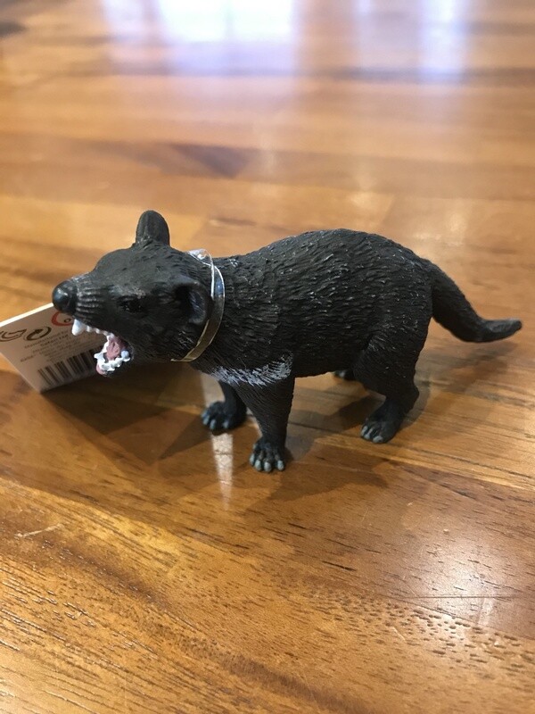 100247 Tasmanian Devil