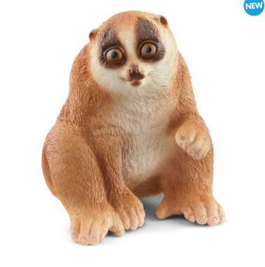 14852 Slow Loris