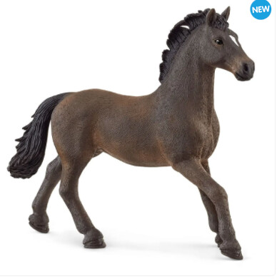 13946 Oldenburger Stallion