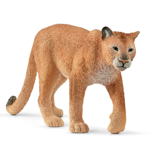 14853 Cougar