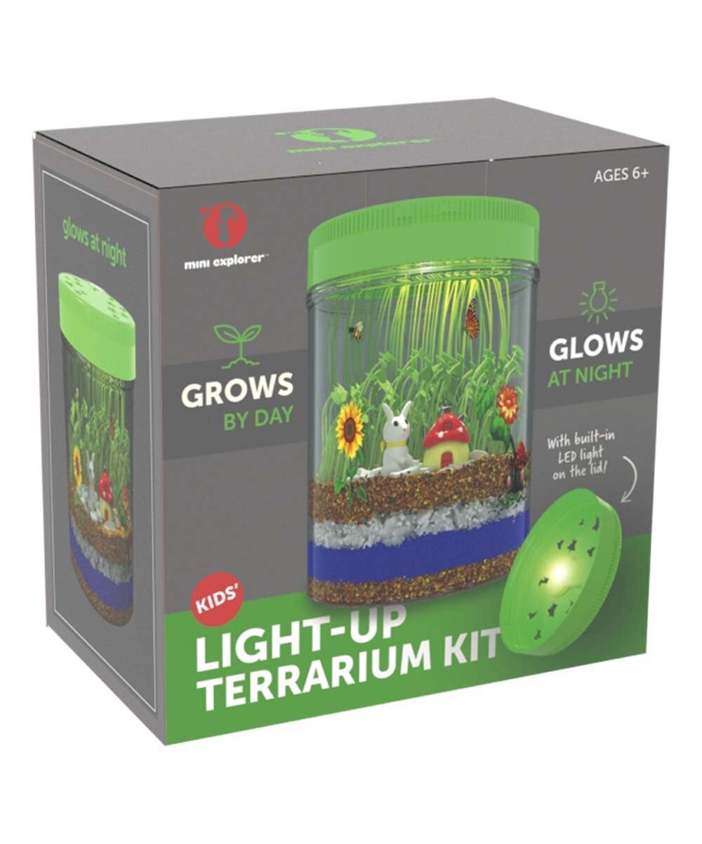 THNB579 Light-Up Terrarium - Safari