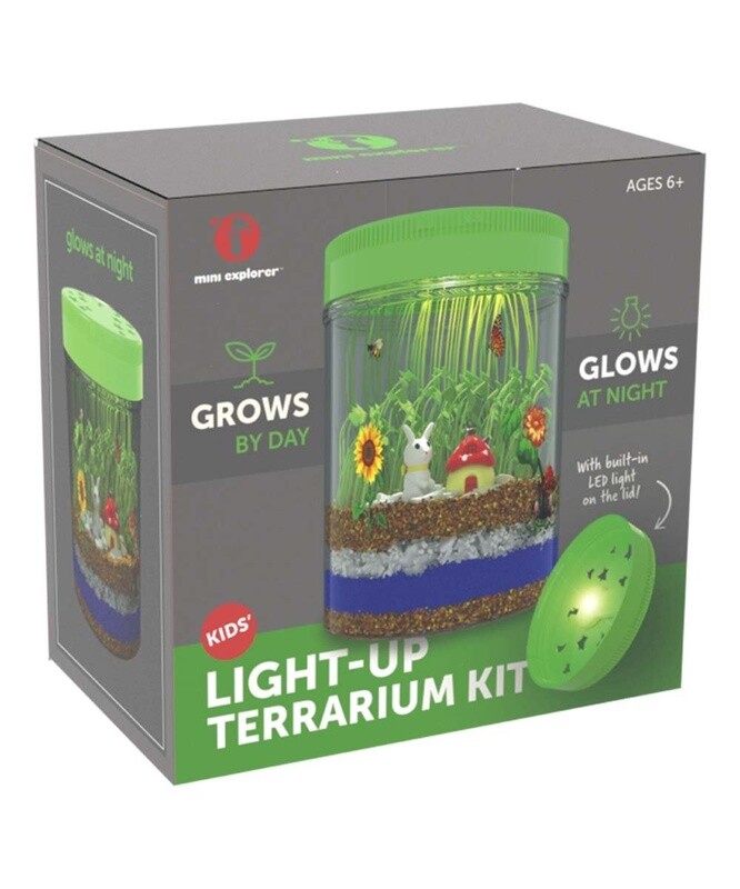 THNB579 Light-Up Terrarium - Safari