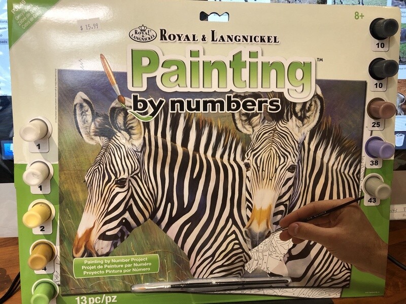 R-38799 Large PBN Grevy&#39;s Zebra