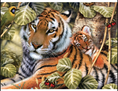 R-94341 Large PBN In The Shadows