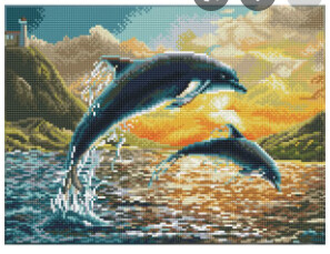 DQ9.012 Dolphin Sunset