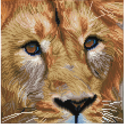 DD5076 Serengeti Magic