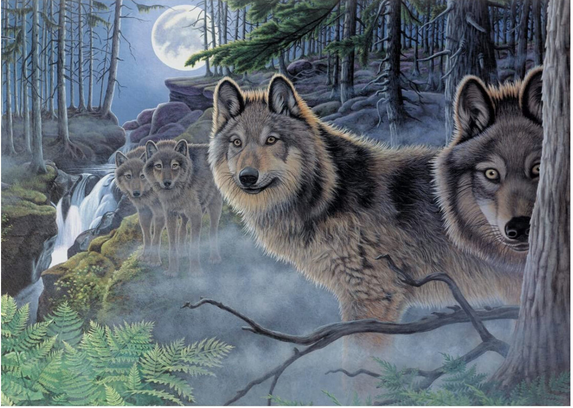 R-94348 Adult PBN Mystical Moonlight