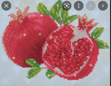 DD3002 Good Fortune Pomegranits