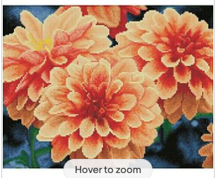 DQ9.004 each Dahlias