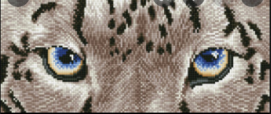 DD5043 Snow Leopard Spy