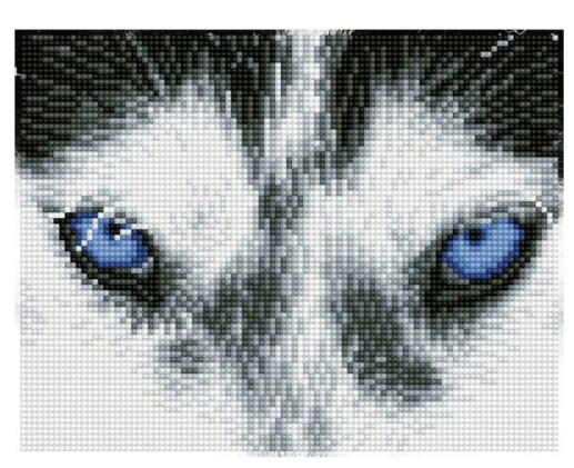 DQ7.004 Mystic Husky