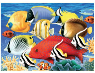R-06850 Large PBN Tropical Fish