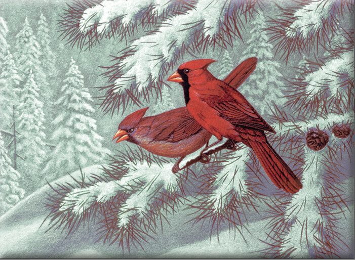 R-06847 Adult PBN Cardinals