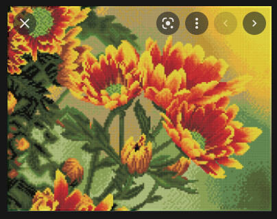 DQ9.001 Field Daisies