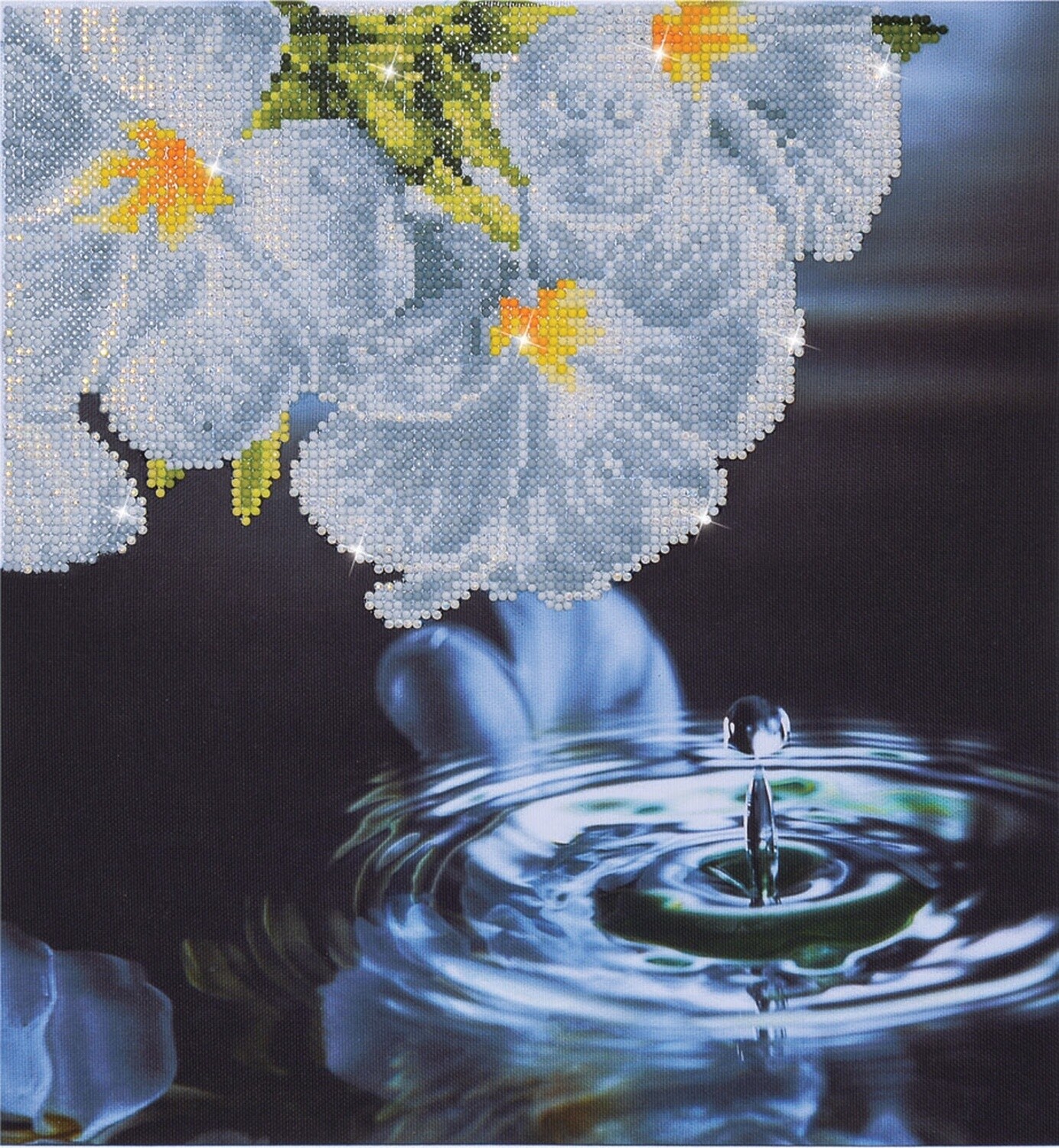 DD5 019 Water Droplet