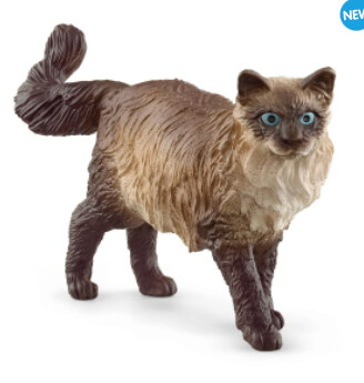 13940 Ragdoll Cat