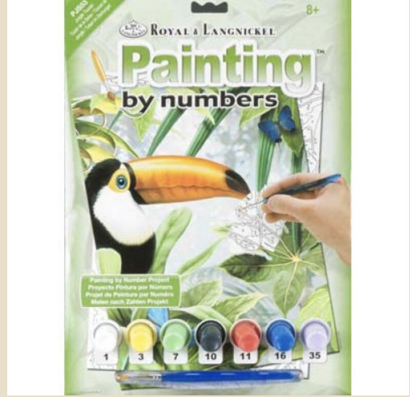 R-06855 PBN Jungle Toucan