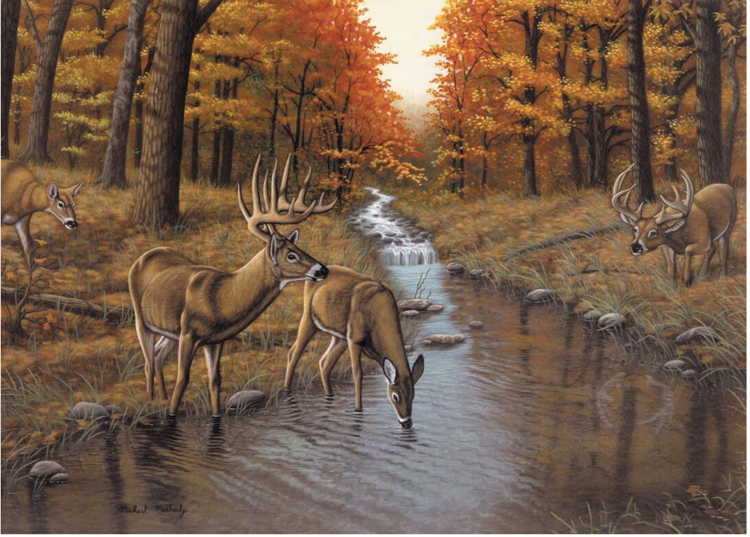 R-05665 Adult PBN Symond&#39;s Creek