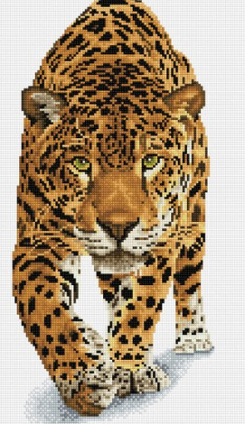 DQ9.007 On The Prowl