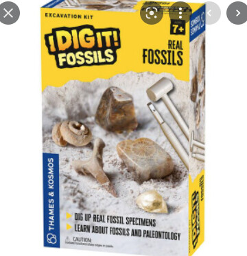 TK630461 I Dig It! Fossils - Real Fossils Excavation Kit