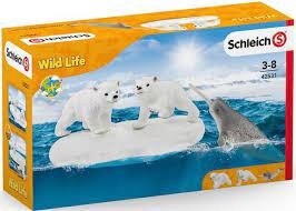 42531 Polar Playground