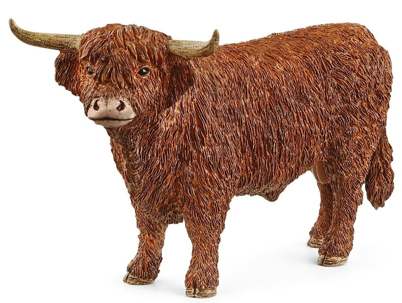 13919  Highland bull