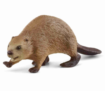14855 Beaver