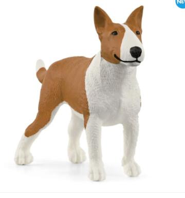 13966 Bull Terrier