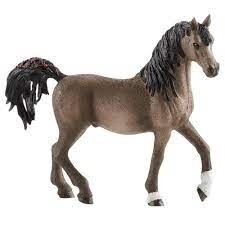 13907 Arab stallion