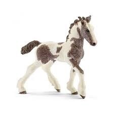 13774 Tinker foal