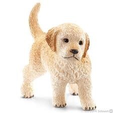 16396 Golden Retriever puppy