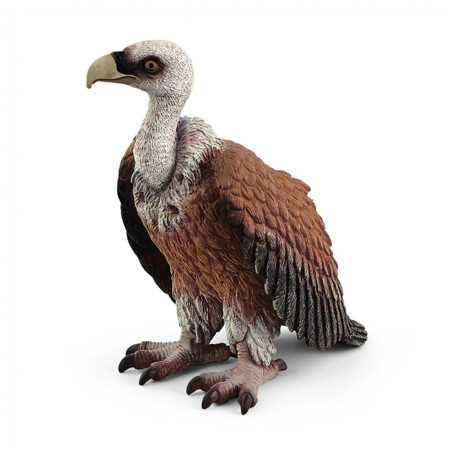 14847 Vulture