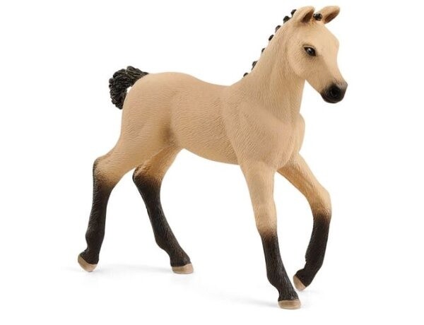 13929 Hannoverian Foal RedDun