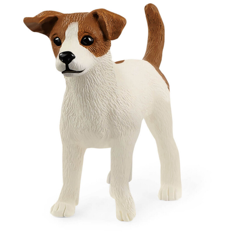 13916 Jack Russell Terrier