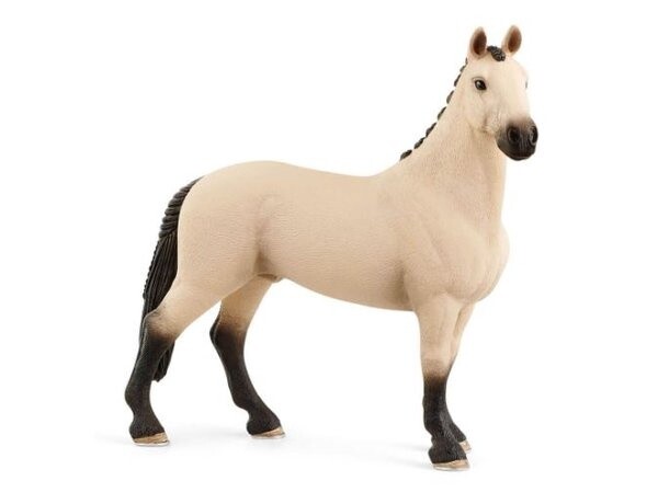13928 Hannoverian Gelding RedDun