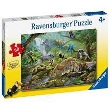 05166 Rainforest Animals 60p