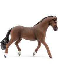 13909 Trakehner gelding