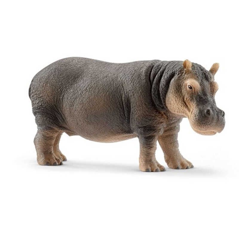 14814 Hippopotamus