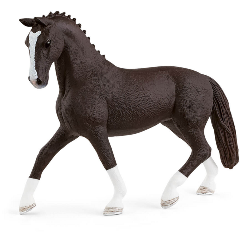13927 Hannoverian mare black