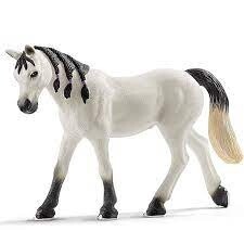 13908 Arabian mare