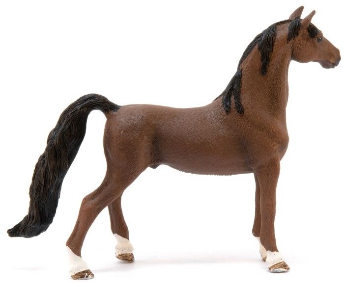 13913   American Saddlebred gelding