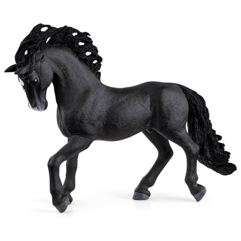 13923 Pura Raza Espanola Stallion